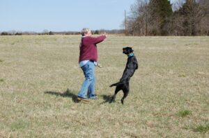 Remote Collar Trained Dog with owner enjoying off leash freedom