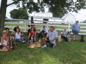 Remote collar dog training workshop