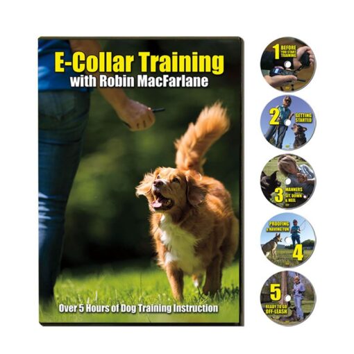 e-collar training with Robin MacFarlane 5 disc set